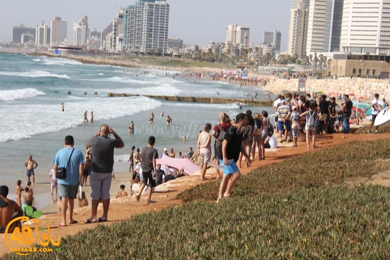 charlz cloorjew (6).JPG